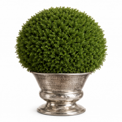 CACHEPOT ARGENTÉ HAMMERED