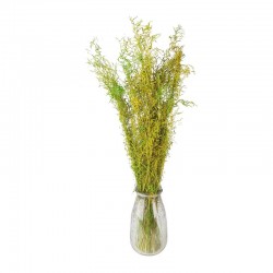 MAZZO DECORATIVO "Evergreen...
