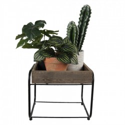 Porta Piante Wood & Steel